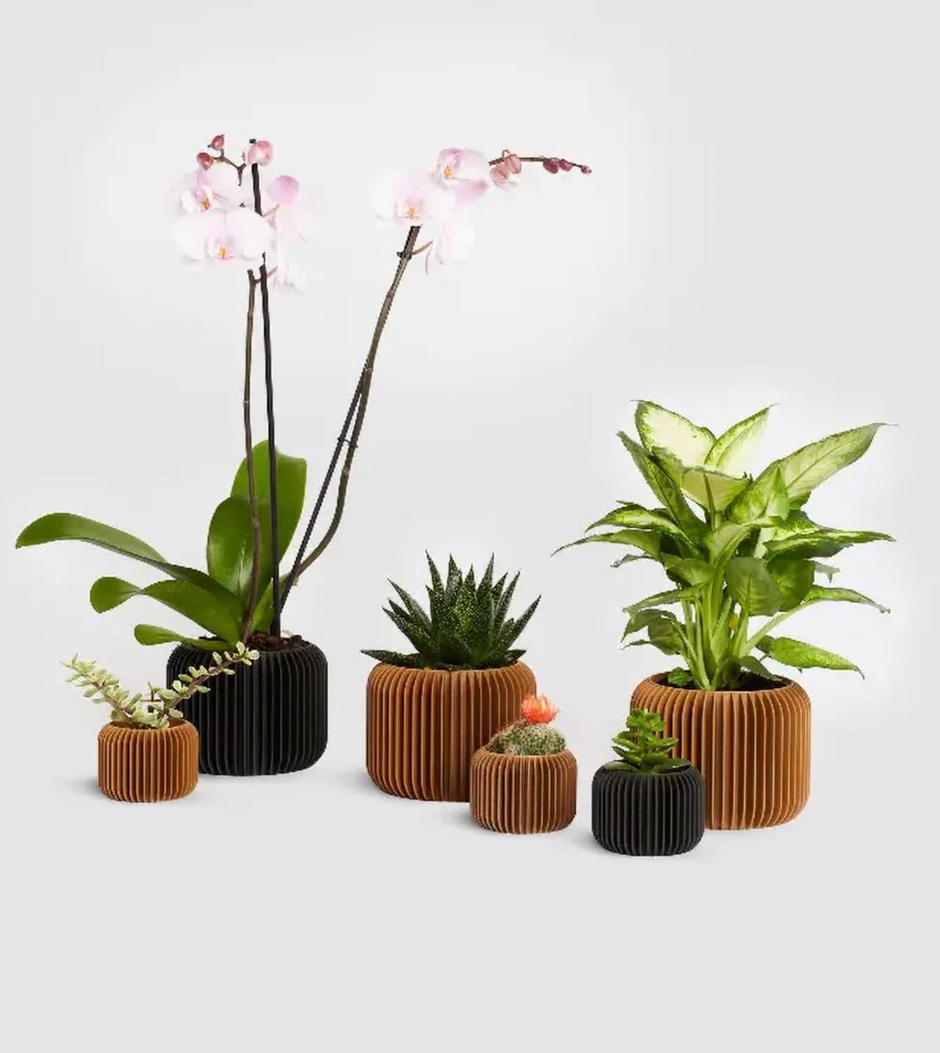 DOMO Blumentopf