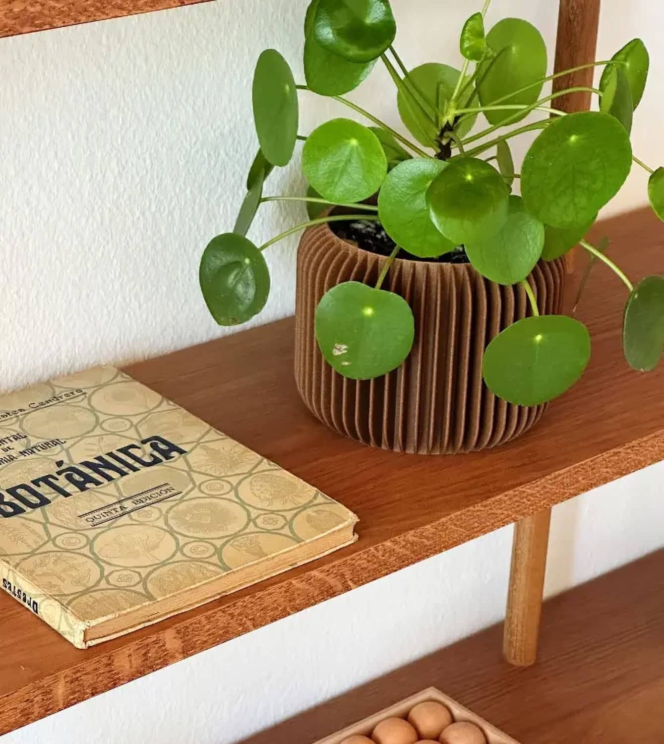 DOMO Blumentopf