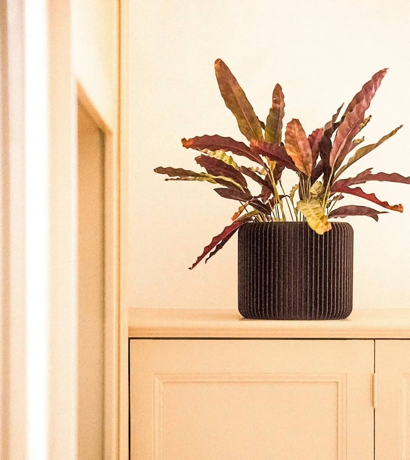 DOMO Blumentopf