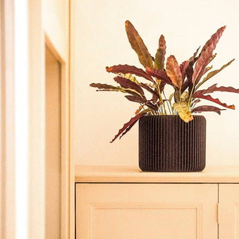 DOMO Blumentopf 