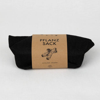 Pflanz-Set: Kräuter und Gemüse 