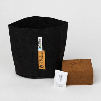 Pflanz-Set: Tannenbaum 