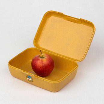 Kinder-Lunchbox 