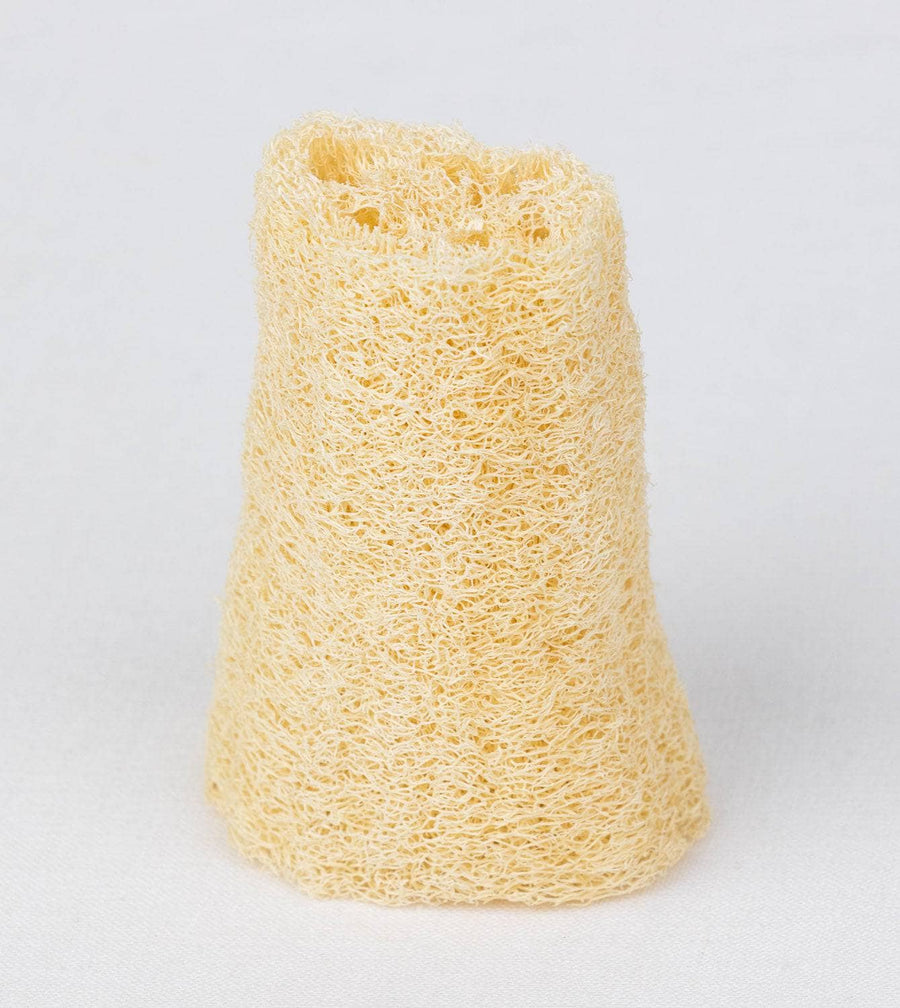 Luffa Körperschwamm