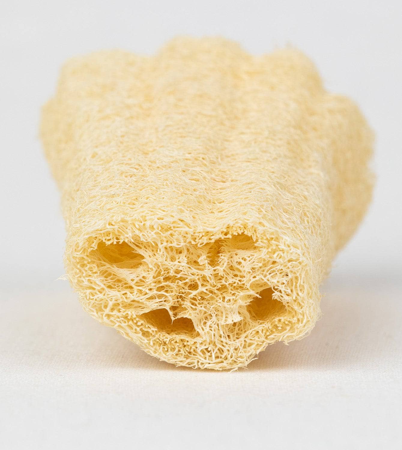 Luffa Körperschwamm