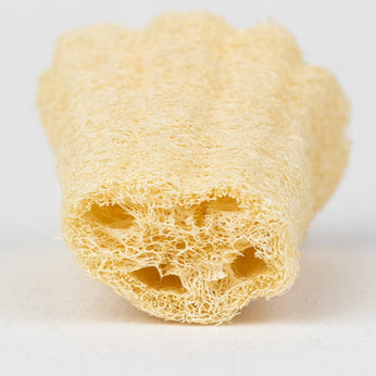 Luffa Körperschwamm 