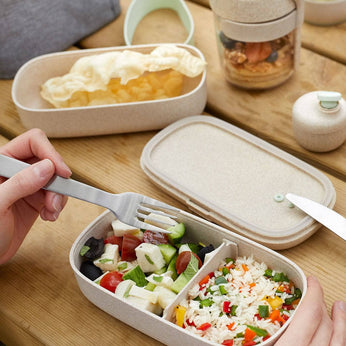Lunchbox 