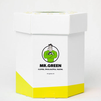 Info-Sammelbox «Carlito Plastico» 35L 